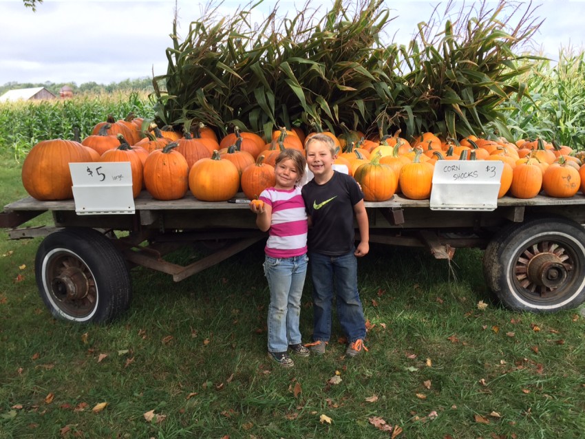 Anson & Nora pumpkins