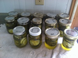 Pickles      